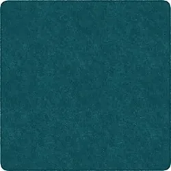 Flagship Carpets LLC-FCI TS26MB