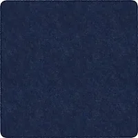 Flagship Carpets LLC-FCI TS70NY