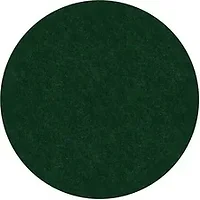 Flagship Carpets LLC-FCI TS27EG