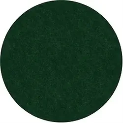 Flagship Carpets LLC-FCI TS27EG