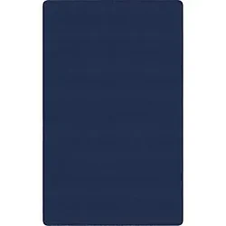 Flagship Carpets LLC-FCI BS22NY