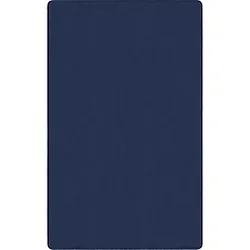 Flagship Carpets LLC-FCI AS22NY