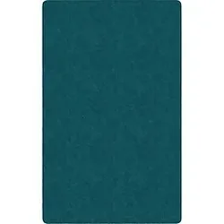 Flagship Carpets LLC-FCI TS80MB