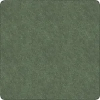 Flagship Carpets LLC-FCI TS70SG