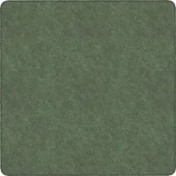 Flagship Carpets LLC-FCI TS70SG