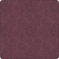 Flagship Carpets LLC-FCI TS70PL