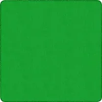 Flagship Carpets LLC-FCI AS70LG