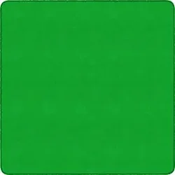 Flagship Carpets LLC-FCI BS26LG