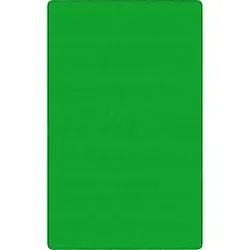 Flagship Carpets LLC-FCI BS76LG