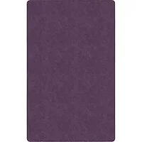 Flagship Carpets LLC-FCI TS44PP