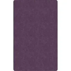 Flagship Carpets LLC-FCI TS44PP