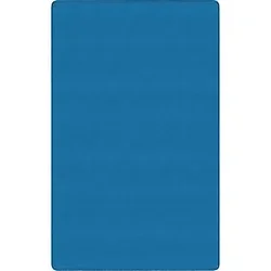 Flagship Carpets LLC-FCI BS22BB