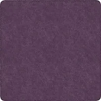 Flagship Carpets LLC-FCI TS26PP