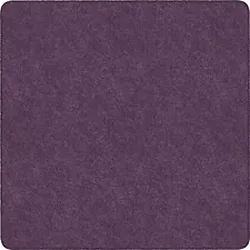 Flagship Carpets LLC-FCI TS26PP