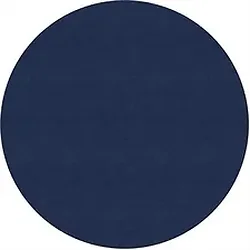 Flagship Carpets LLC-FCI BS27NY