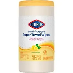 CLOROX-CLO 32578