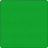 Flagship Carpets LLC-FCI BS70LG