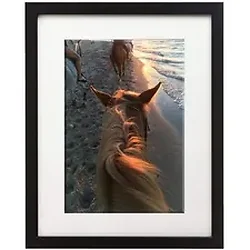 Stewart Superior-SSC WP1114BK