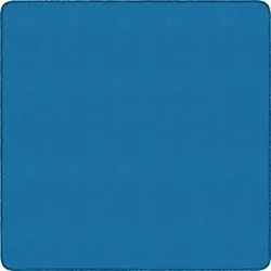 Flagship Carpets LLC-FCI BS70BB