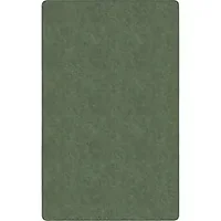 Flagship Carpets LLC-FCI TS80SG