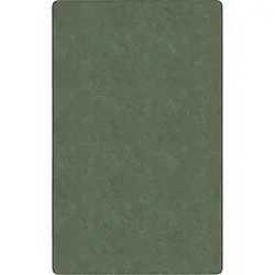 Flagship Carpets LLC-FCI TS80SG