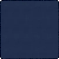 Flagship Carpets LLC-FCI BS26NY