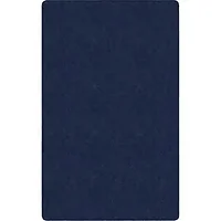 Flagship Carpets LLC-FCI TS80NY