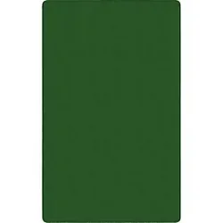 Flagship Carpets LLC-FCI AS76CL