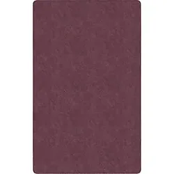 Flagship Carpets LLC-FCI TS76PL