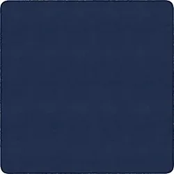 Flagship Carpets LLC-FCI BS70NY