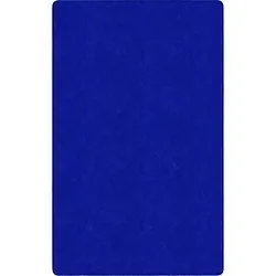 Flagship Carpets LLC-FCI TS22RB