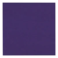 PACON CORPORATION-CRA 103019