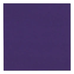 PACON CORPORATION-CRA 103019