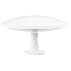 Majestic Global USA-MJUFOXL