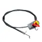 Fireboy-Xintex-E-4209-16