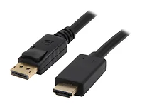 Nippon Labs-DP-HDMI-10