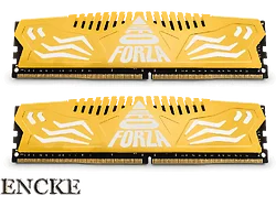 Neo Forza-NMUD480E82-3600DC20