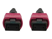 Tripp Lite-N845B-20M-12-MG