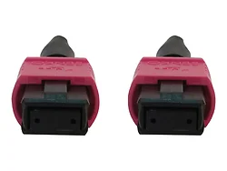 Tripp Lite-N845B-20M-12-MG