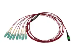 Tripp Lite-N845-02M-8S-MG