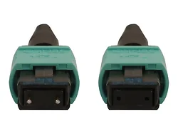 Tripp Lite-N842B-10M-12-MF