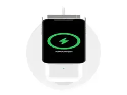 Belkin-WIZ010TTWH