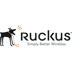 Ruckus-E40G-QSFP-QSFP-P-0101