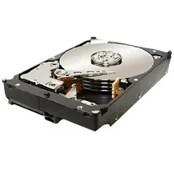 SEAGATE-ST31000524NS