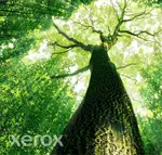 XEROX XER006R03666