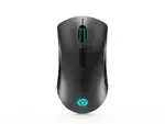 LENOVO GY50X79385