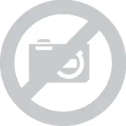 KINGSTON-KTL-TS429S4/32G