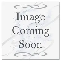 CAPSA SOLUTIONS-PARTLAB67YRNOSTOR