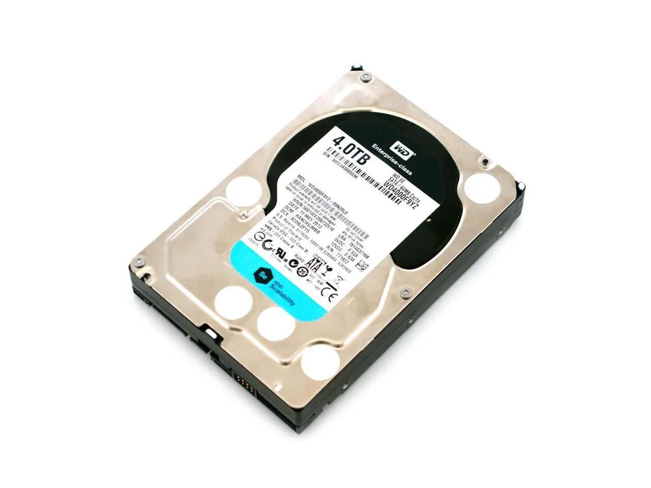 Western Digital-WD4000F9YZDup