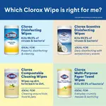 CLOROX CLO 31404